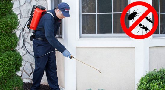 Sarıçam Tahtakurusu İlaçlama böcek ilaçlama ve haşere kontrolü — ilaclama-tr.com